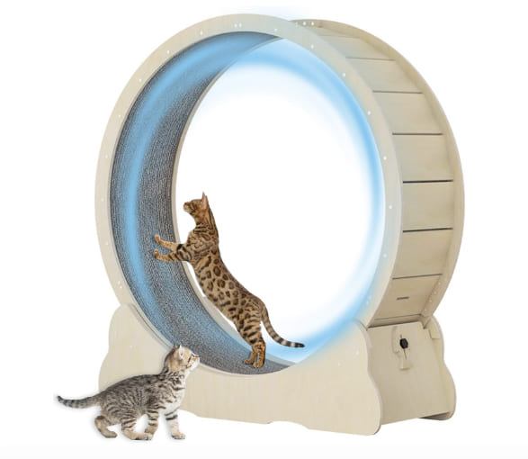 Roue De Course Pour Chat - Diamètre 80 Cm, Hauteur 85 Cm, Blanc, Pour Exercice Et Jeu